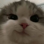 Leaked alternative_kitty onlyfans leaked