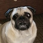 Leaked astro onlyfans leaked