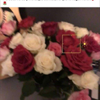 Leaked barbie-niki onlyfans leaked
