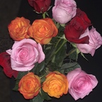 Leaked bexxx16 onlyfans leaked