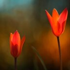 cb_kyle Profile Picture