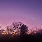 Leaked dreamriderlnic onlyfans leaked