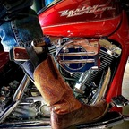 Leaked harleyguy666 onlyfans leaked