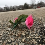 Leaked hymn-eros onlyfans leaked