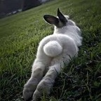 Leaked imrichbunny onlyfans leaked