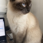 Leaked justmadzz onlyfans leaked