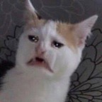 Leaked mypartner onlyfans leaked