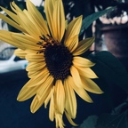 Leaked naked-nature onlyfans leaked