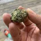 Leaked polomayne614 onlyfans leaked