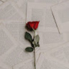 princess_castle Profile Picture