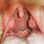 Leaked reveriedaemon onlyfans leaked