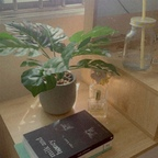 Leaked rosegoldxn onlyfans leaked