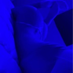 Leaked sarahmiller8 onlyfans leaked