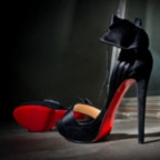 Leaked shoejobtv onlyfans leaked