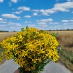 Leaked simplethings92 onlyfans leaked