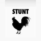 Leaked stunttcock onlyfans leaked