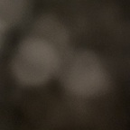 Leaked tparks onlyfans leaked