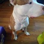 Leaked u132758435 onlyfans leaked