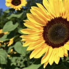 Leaked wetandwild18 onlyfans leaked