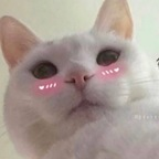 Leaked zaeann onlyfans leaked